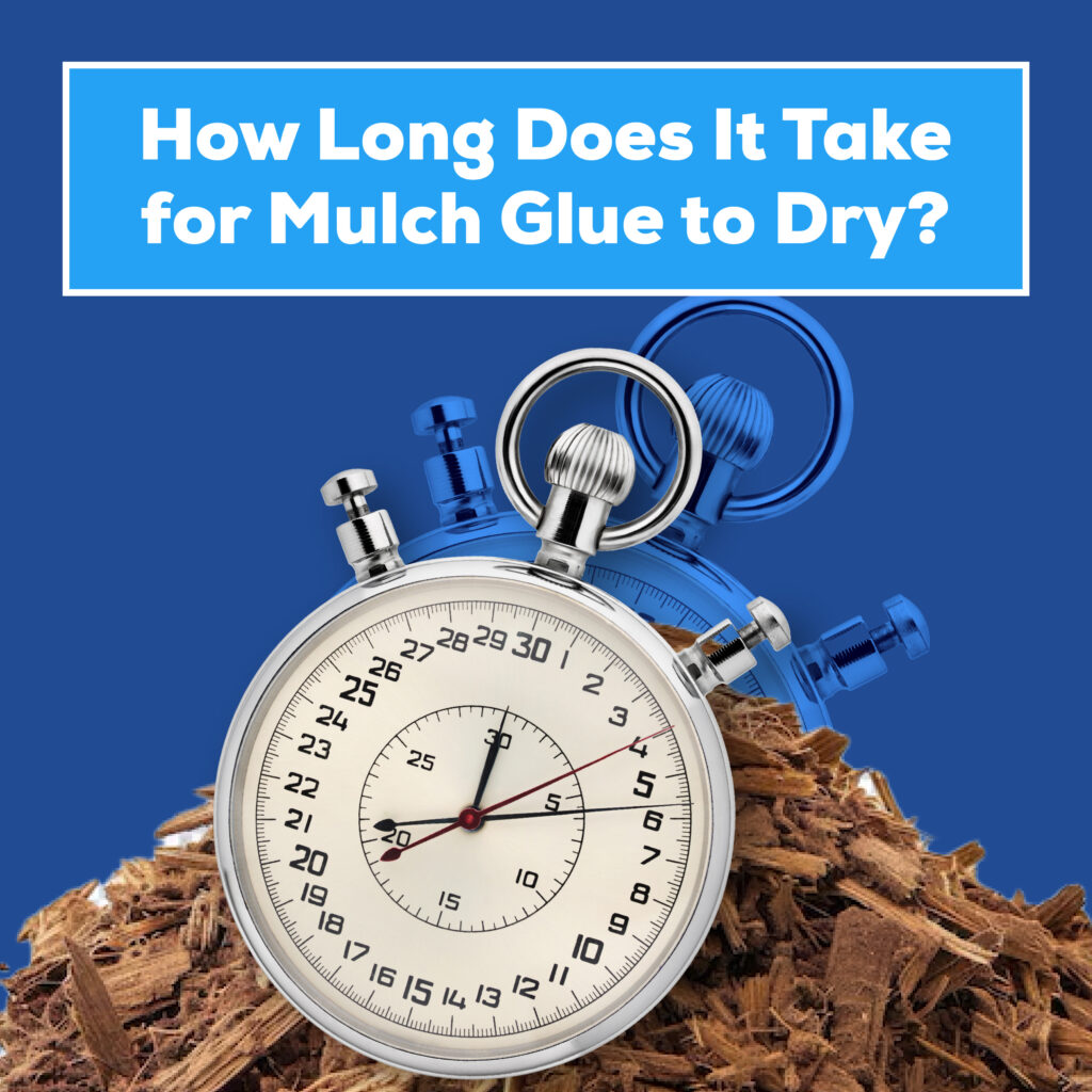 How long does it take for mulch glue to dry?