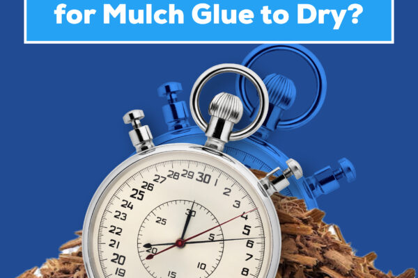 How long does it take for mulch glue to dry?