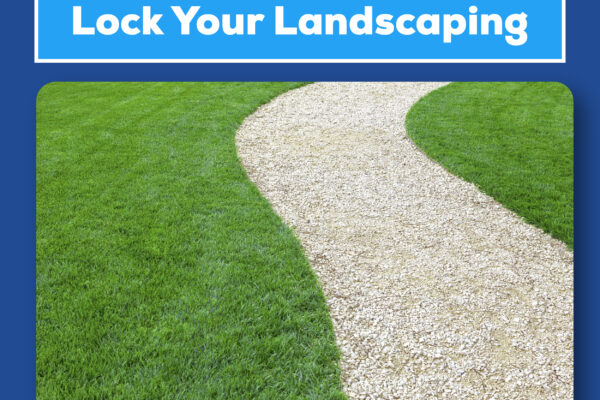 Strongest mulch glue: Lock your landscaping