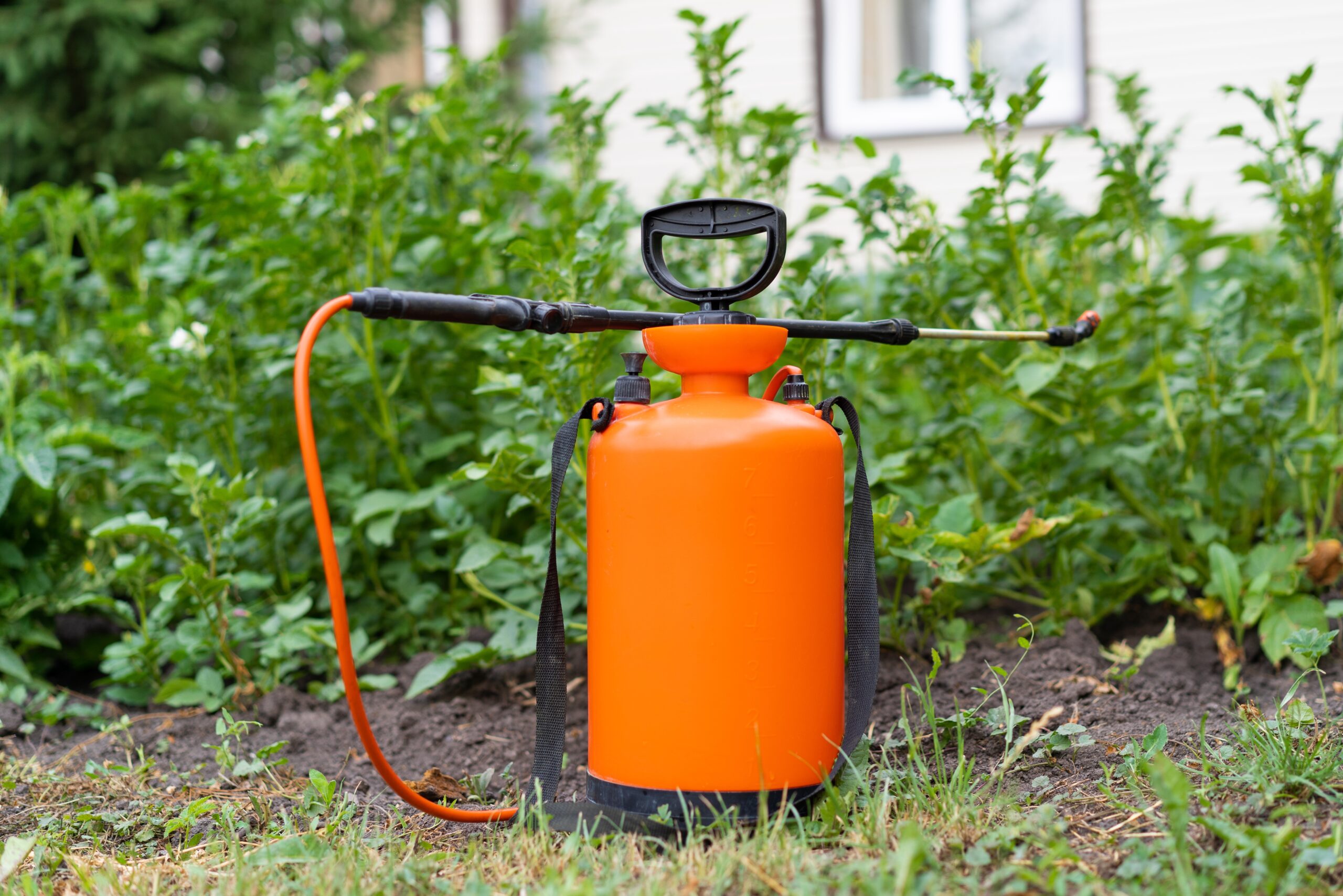 Applying Spray Glue For Mulch, Pump Sprayer, Superclear TerraLock