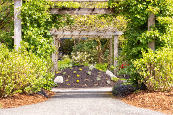 Spray Glue for Mulch